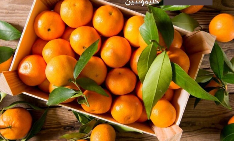 Offres du week-end chez Marjane Market valable jusqu’au 16 janvier 2022 عروض مرجان mars 2024