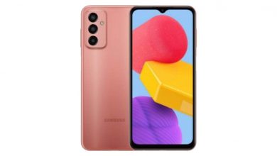 Samsung Galaxy S22 Plus 5G prix maroc : Meilleur prix juin 2022