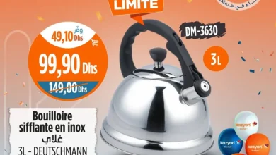 Bouilloire sifflante en inox 3 litres DEUTCHMANN