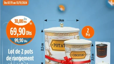 Lot de 2 pots de rangement divers modèles