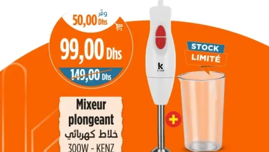 Mixeur plongeant 300w KENZ