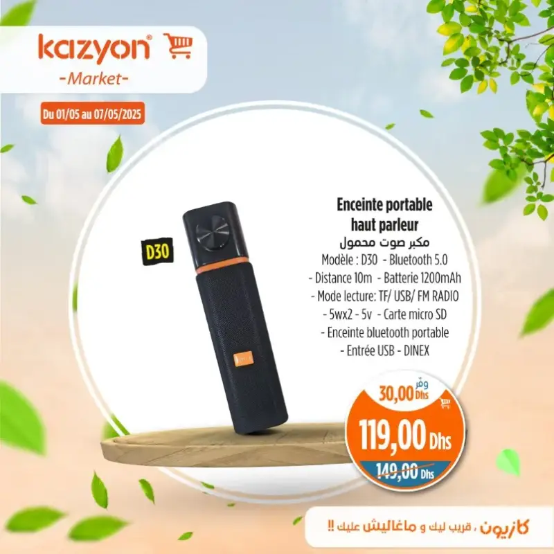 Enceinte portable D30 DINEX