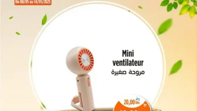 Mini-ventilateur électrique
