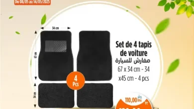 Set de 4 tapis de voiture