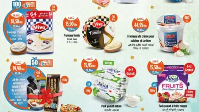 Catalogue Kazyon Market Maroc مواد باردة مخفضة