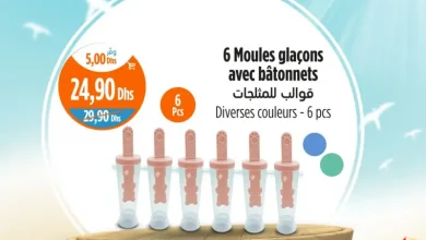 6 moules glaçons avec bâtonnets