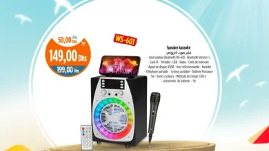 Speaker karaoké Bluetooth WS-601