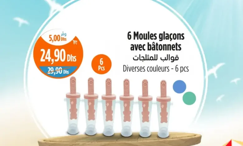 6 moules glaçons avec bâtonnets