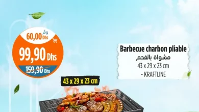 Barbecue charbon pliable KRAFTLINE