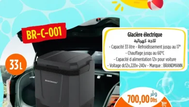 Glacière électrique 33 litres BRANDMANN