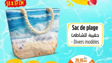 Sac de plage divers modèles