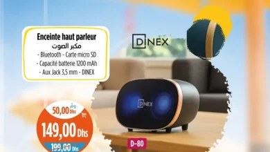 Enceinte haut parleur Bluetooth D-80 DINEX