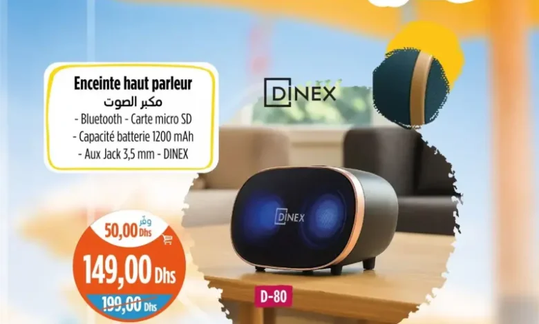 Enceinte haut parleur Bluetooth D-80 DINEX