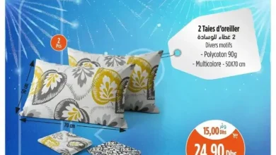 2 Taies d'oreiller 50x70cm multicolore divers motifs