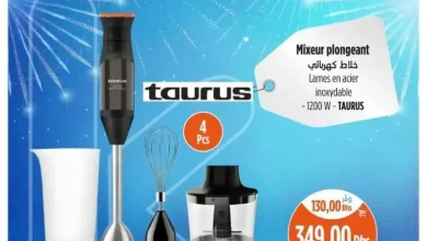 Mixeur plongeant inoxydable TAURUS