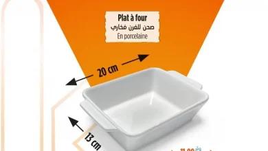 Plat à four en porcelaine 13x20cm