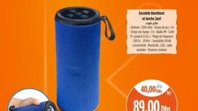 Enceinte Bluetooth et torche 2en1